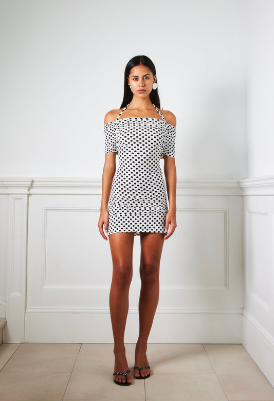 Lily Rose Mini Dress